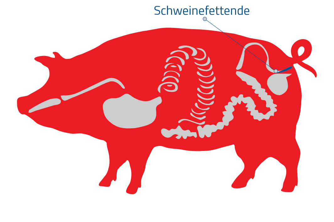 Schweinefettende Marth