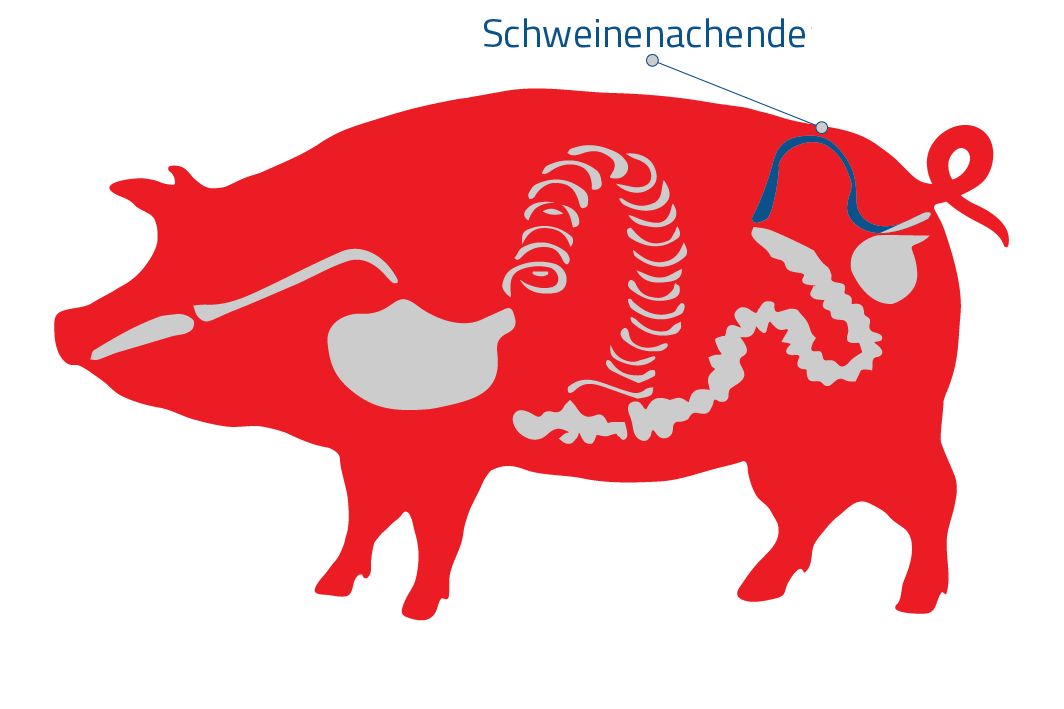 Schweinenachende Marth